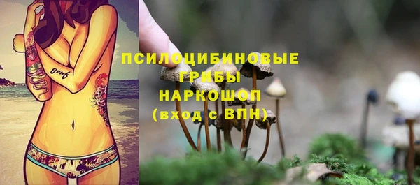 стаф Вяземский