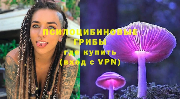 стаф Вяземский