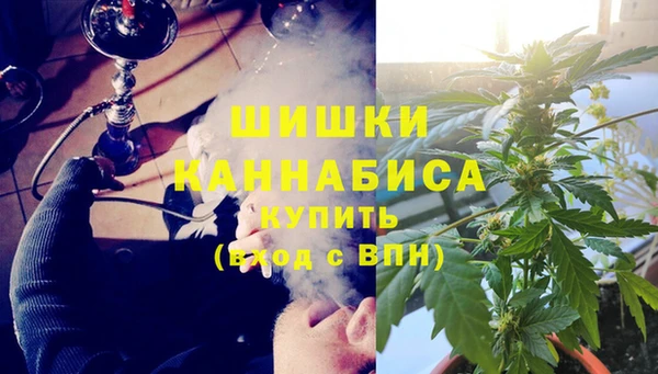 бутират Горняк