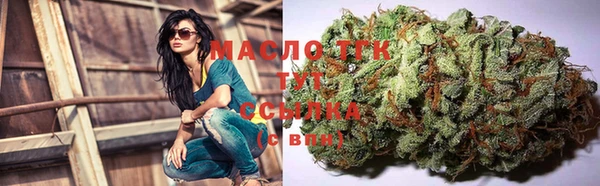стаф Вяземский