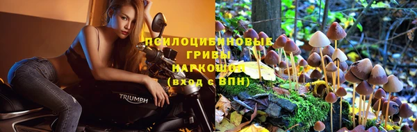 стаф Вяземский
