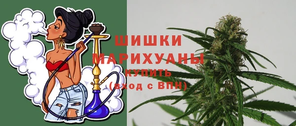 стаф Вяземский